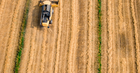 Agriculture Mercosur