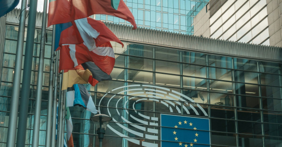 Parlement Europeen Drapeaux Scaled