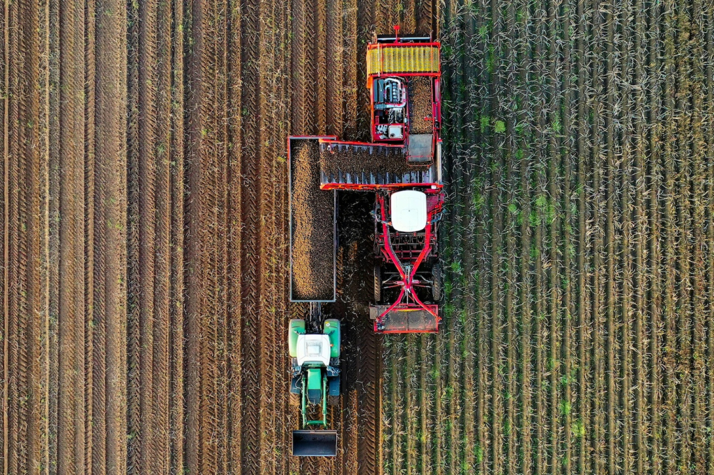 Mercosur Cp Yvan Verougstraete Europe