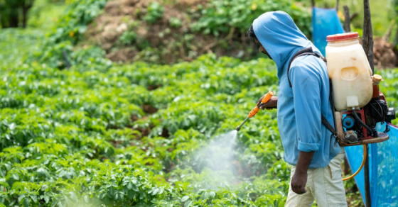 Pfas Pesticides